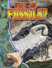 What are fossils?