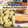 Peanuts to peanut butter