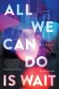 All we can do is wait : a novel