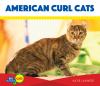 American curl cats