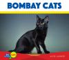 Bombay cats