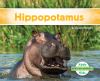 Hippopotamus :