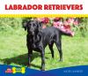 Labrador retrievers :