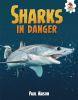 Sharks in danger