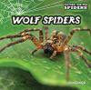 Wolf spiders