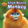 Snub-nosed monkey