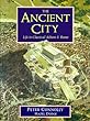 The ancient city : life in classical Athens & Rome