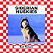 Siberian Huskies