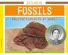 Exploring fossils : paleontologists at work!