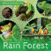 Animals in the rain forest