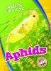 Aphids