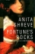 Fortune's rocks : a novel