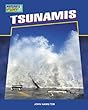 Tsunamis