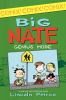 Big Nate : genius mode