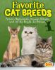 Favorite cat breeds : Persians, Abyssinians, Siamese, Sphynx, and all the breeds in-between