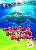 Leatherback sea turtle migration