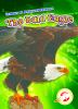 The bald eagle