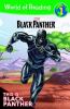 Build it! : This Is Black Panther