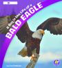 A day in the life of a bald eagle : a 4D book