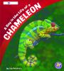 A day in the life of a chameleon : a 4D book