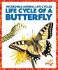 Life cycle of a butterfly