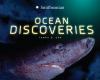 Ocean discoveries