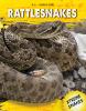 Rattlesnakes