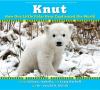 Knut : how one little polar bear captivated the world