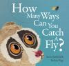 How many ways-- can you catch a fly?