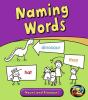 Naming words : nouns and pronouns