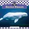 Beluga whales