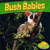 Bush babies