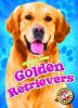 Golden retrievers