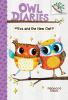 Eva and the new owl / : Owl Diaries