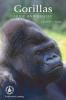 Gorillas : huge and gentle