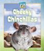 Cheeky chinchillas