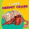 I love hermit crabs