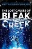 The lost causes of Bleak Creek : a novel