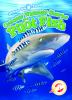 Oceanic whitetip sharks and pilot fish