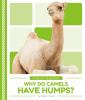 Why do camels have humps?