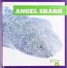 Angel shark