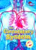 The circulatory system