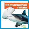 Hammerhead shark