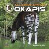 All about African okapis