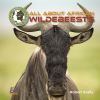 All about the African wildebeests