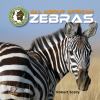 All about the African zebras