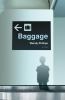 Baggage : a novel
