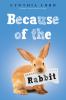 Because of the rabbit