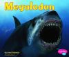 Megalodon