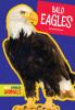 Bald eagles